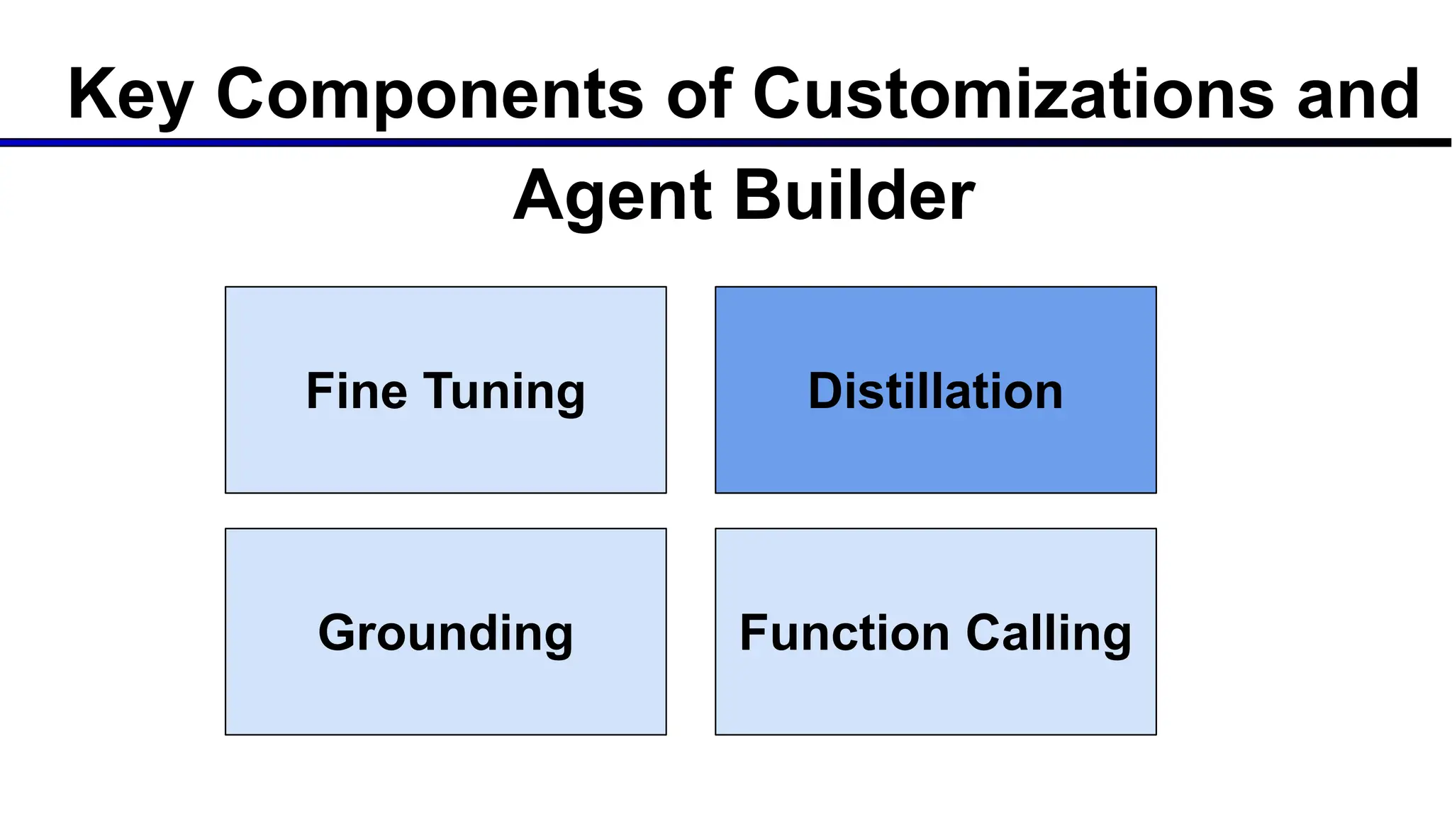 Key Components of Customizations and
Agent Builder
Fine Tuning Distillation
Grounding Function Calling
 