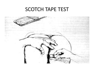 Scoth Test 4.Disease spread by faecal contamination.pptx