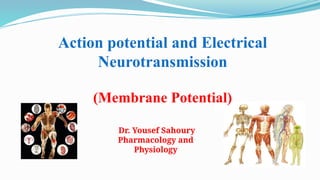 4. Membrane Potential and Action Potential (1).pptx
