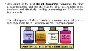 Tests in Microbiology Lab - Microbiology for Lab Technicians | PPTX