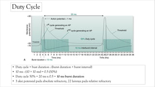 Duty Cycle
• Duty cycle = bust duration : (burst duration + burst interval)
• 10 ms : (10 + 10 ms) = 0.5 (50%)
• Duty cycle 50% = 20 ms x 0.5 = 10 ms burst duration
• 3 aksi potensial pada absolute refractory, 22 lainnya pada relative refractory
 