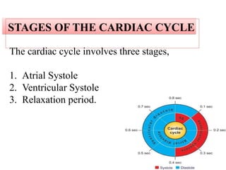 4. Cardiac cycle.pptx cardiovascular system | PPTX
