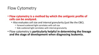 Cbc Measurement Flow Chart.pdf 4.3.2019 CBC and Peripheral Blood SMears.pdf