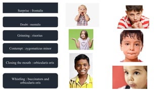 Structure Involved In Smiling .muscles of facial expression.power point presentation | PPTX