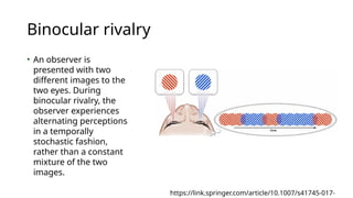 4. Visual Processing in the Extrastriate Cortex.pptx