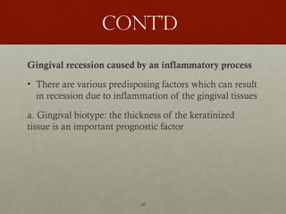 10
Cont’d
Gingival recession caused by an inflammatory process
• There are various predisposing factors which can result
in recession due to inflammation of the gingival tissues
a. Gingival biotype: the thickness of the keratinized
tissue is an important prognostic factor
 