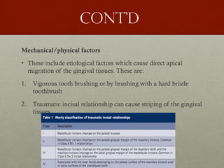 7
Cont’d
Mechanical/physical factors
• These include etiological factors which cause direct apical
migration of the gingival tissues. These are:
1. Vigorous tooth brushing or by brushing with a hard bristle
toothbrush
2. Traumatic incisal relationship can cause striping of the gingival
tissues
 