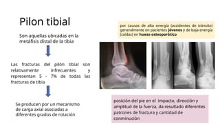 Pilon tibial
Son aquellas ubicadas en la
metáfisis distal de la tibia
Las fracturas del pilón tibial son
relativamente infrecuentes y
representan 5 - 7% de todas las
fracturas de tibia
Se producen por un mecanismo
de carga axial asociadas a
diferentes grados de rotación
por causas de alta energía (accidentes de tránsito)
generalmente en pacientes jóvenes y de baja energía
(caídas) en hueso osteoporótico
posición del pie en el impacto, dirección y
amplitud de la fuerza, da resultado diferentes
patrones de fractura y cantidad de
conminución
 