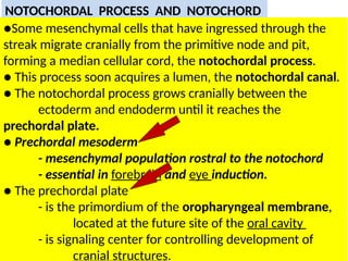 4. Embryonic period. ( WEEK 3-8).pptx
