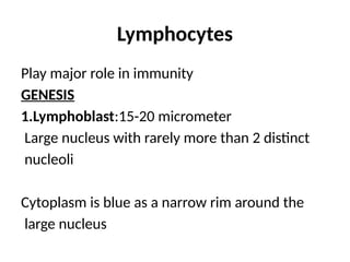 Lymphocytes
Play major role in immunity
GENESIS
1.Lymphoblast:15-20 micrometer
Large nucleus with rarely more than 2 distinct
nucleoli
Cytoplasm is blue as a narrow rim around the
large nucleus
 