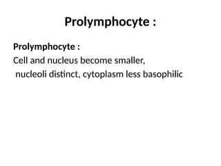 Prolymphocyte :
Prolymphocyte :
Cell and nucleus become smaller,
nucleoli distinct, cytoplasm less basophilic
 
