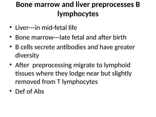 Bone marrow and liver preprocesses B
lymphocytes
• Liver---in mid-fetal life
• Bone marrow---late fetal and after birth
• B cells secrete antibodies and have greater
diversity
• After preprocessing migrate to lymphoid
tissues where they lodge near but slightly
removed from T lymphocytes
• Def of Abs
 