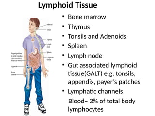 Lymphoid Tissue
• Bone marrow
• Thymus
• Tonsils and Adenoids
• Spleen
• Lymph node
• Gut associated lymphoid
tissue(GALT) e.g. tonsils,
appendix, payer’s patches
• Lymphatic channels
Blood– 2% of total body
lymphocytes
 