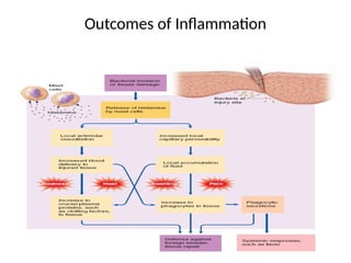 Outcomes of Inflammation
 