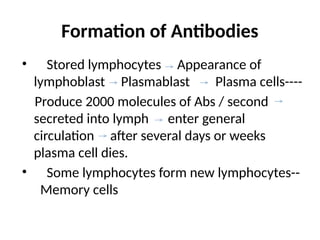 Formation of Antibodies
• Stored lymphocytes Appearance of
lymphoblast Plasmablast Plasma cells----
Produce 2000 molecules of Abs / second
secreted into lymph enter general
circulation after several days or weeks
plasma cell dies.
• Some lymphocytes form new lymphocytes--
Memory cells
 