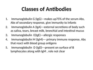 Classes of Antibodies
1. Immunoglobulin G (IgG)---makes up75% of the serum Abs,
Abs of secondary response, give immunity to infants
2. Immunoglobulin A (IgA)---external secretions of body such
as saliva, tears, breast milk, bronchial and intestinal mucus
3. Immunoglobulin E(IgE)---allergic responses
4. Immunoglobulin M (IgM)--- primary immune response, Abs
that react with blood group antigens
5. Immunoglobulin D (IgD)---present on surface of B
lymphocytes along with IgM , role not clear
 