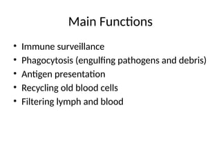 Main Functions
• Immune surveillance
• Phagocytosis (engulfing pathogens and debris)
• Antigen presentation
• Recycling old blood cells
• Filtering lymph and blood
 