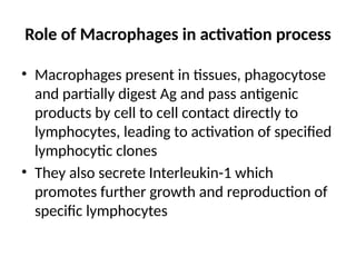 Role of Macrophages in activation process
• Macrophages present in tissues, phagocytose
and partially digest Ag and pass antigenic
products by cell to cell contact directly to
lymphocytes, leading to activation of specified
lymphocytic clones
• They also secrete Interleukin-1 which
promotes further growth and reproduction of
specific lymphocytes
 