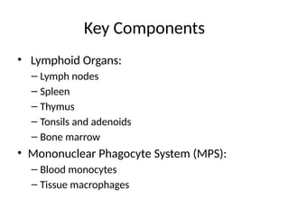 Key Components
• Lymphoid Organs:
– Lymph nodes
– Spleen
– Thymus
– Tonsils and adenoids
– Bone marrow
• Mononuclear Phagocyte System (MPS):
– Blood monocytes
– Tissue macrophages
 