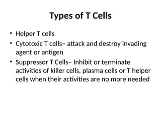 Types of T Cells
• Helper T cells
• Cytotoxic T cells– attack and destroy invading
agent or antigen
• Suppressor T Cells– Inhibit or terminate
activities of killer cells, plasma cells or T helper
cells when their activities are no more needed
 