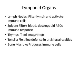 Lymphoid Organs
• Lymph Nodes: Filter lymph and activate
immune cells
• Spleen: Filters blood, destroys old RBCs,
immune response
• Thymus: T-cell maturation
• Tonsils: First line defense in oral/nasal cavities
• Bone Marrow: Produces immune cells
 