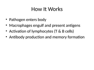 How It Works
• Pathogen enters body
• Macrophages engulf and present antigens
• Activation of lymphocytes (T & B cells)
• Antibody production and memory formation
 