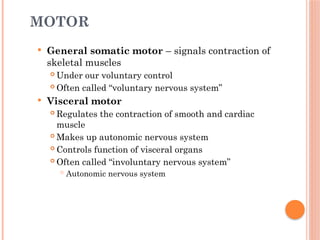 4.Organization and Functions of the Nervous System.pptx