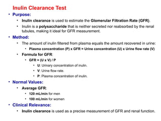 Inulin Clearance Test
• Purpose:
• Inulin clearance is used to estimate the Glomerular Filtration Rate (GFR).
• Inulin is a polysaccharide that is neither secreted nor reabsorbed by the renal
tubules, making it ideal for GFR measurement.
• Method:
• The amount of inulin filtered from plasma equals the amount recovered in urine:
• Plasma concentration (P) x GFR = Urine concentration (U) x Urine flow rate (V)
• Formula for GFR:
• GFR = (U x V) / P
• U: Urinary concentration of inulin.
• V: Urine flow rate.
• P: Plasma concentration of inulin.
• Normal Values:
• Average GFR:
• 120 mL/min for men
• 100 mL/min for women
• Clinical Relevance:
• Inulin clearance is used as a precise measurement of GFR and renal function.
 