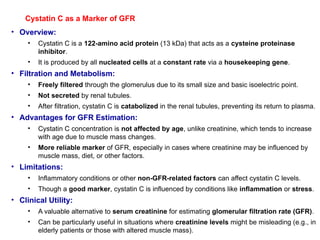 Cystatin C as a Marker of GFR
• Overview:
• Cystatin C is a 122-amino acid protein (13 kDa) that acts as a cysteine proteinase
inhibitor.
• It is produced by all nucleated cells at a constant rate via a housekeeping gene.
• Filtration and Metabolism:
• Freely filtered through the glomerulus due to its small size and basic isoelectric point.
• Not secreted by renal tubules.
• After filtration, cystatin C is catabolized in the renal tubules, preventing its return to plasma.
• Advantages for GFR Estimation:
• Cystatin C concentration is not affected by age, unlike creatinine, which tends to increase
with age due to muscle mass changes.
• More reliable marker of GFR, especially in cases where creatinine may be influenced by
muscle mass, diet, or other factors.
• Limitations:
• Inflammatory conditions or other non-GFR-related factors can affect cystatin C levels.
• Though a good marker, cystatin C is influenced by conditions like inflammation or stress.
• Clinical Utility:
• A valuable alternative to serum creatinine for estimating glomerular filtration rate (GFR).
• Can be particularly useful in situations where creatinine levels might be misleading (e.g., in
elderly patients or those with altered muscle mass).
 