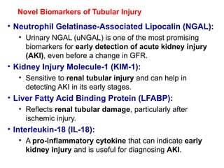 Novel Biomarkers of Tubular Injury
• Neutrophil Gelatinase-Associated Lipocalin (NGAL):
• Urinary NGAL (uNGAL) is one of the most promising
biomarkers for early detection of acute kidney injury
(AKI), even before a change in GFR.
• Kidney Injury Molecule-1 (KIM-1):
• Sensitive to renal tubular injury and can help in
detecting AKI in its early stages.
• Liver Fatty Acid Binding Protein (LFABP):
• Reflects renal tubular damage, particularly after
ischemic injury.
• Interleukin-18 (IL-18):
• A pro-inflammatory cytokine that can indicate early
kidney injury and is useful for diagnosing AKI.
 