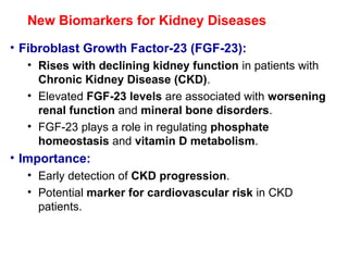 New Biomarkers for Kidney Diseases
• Fibroblast Growth Factor-23 (FGF-23):
• Rises with declining kidney function in patients with
Chronic Kidney Disease (CKD).
• Elevated FGF-23 levels are associated with worsening
renal function and mineral bone disorders.
• FGF-23 plays a role in regulating phosphate
homeostasis and vitamin D metabolism.
• Importance:
• Early detection of CKD progression.
• Potential marker for cardiovascular risk in CKD
patients.
 