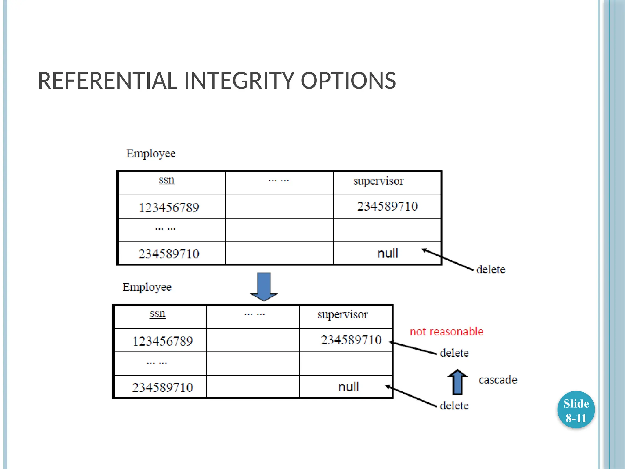 REFERENTIAL INTEGRITY OPTIONS
Slide
8-11
 