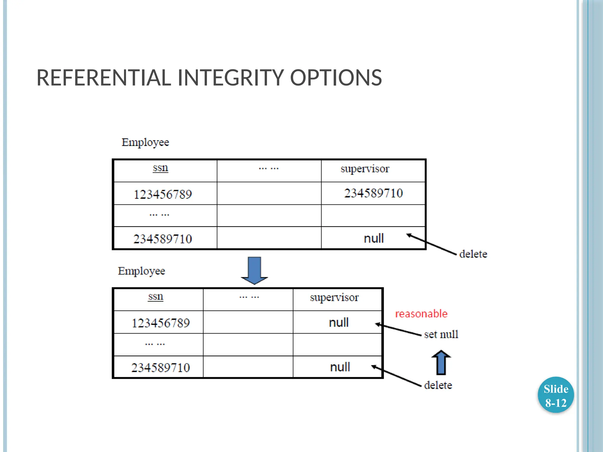REFERENTIAL INTEGRITY OPTIONS
Slide
8-12
 