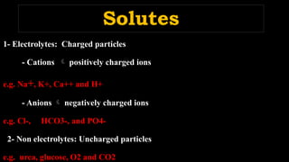 4.Electrolytes physiology Mirghani .pptx