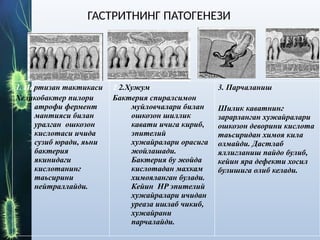 1. Партизан тактикаси
Хеликобактер пилори
атрофи фермент
мантияси билан
уралган ошкозон
кислотаси ичида
сузиб юради, яьни
бактерия
якинидаги
кислотанинг
таьсирини
нейтраллайди.
2 2.Хужум
Бактерия спиралсимон
муйловчалари билан
ошкозон шиллик
кавати ичига кириб,
эпителий
хужайралари орасига
жойлашади.
Бактерия бу жойда
кислотадан махкам
химояланган булади.
Кейин HP эпителий
хужайралари ичидан
уреаза ишлаб чикиб,
хужайрани
парчалайди.
3. Парчаланиш
Шилик каватнинг
зарарланган хужайралари
ошкозон деворини кислота
таьсиридан химоя кила
олмайди. Дастлаб
яллигланиш пайдо булиб,
кейин яра дефекти хосил
булишига олиб келади.
ГАСТРИТНИНГ ПАТОГЕНЕЗИ
 