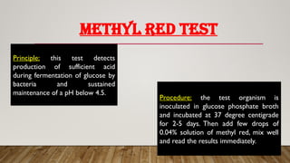 4. LAB DIAGNOSIS OF BACTERIAL INFECTIONS.pptx