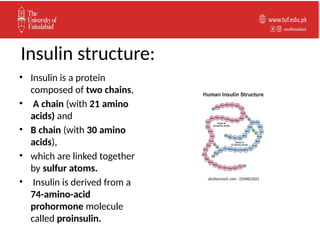 4. Insulin production.pptx insulin production pharmacology | PPTX
