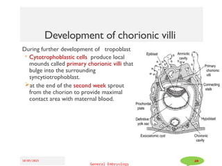 4.General Embryology.pptx by msc .madebo | PPTX