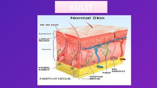 (4. Sistem Eskresi Manusia) Struktur dan fungsi tubuh manusia (1).pptx