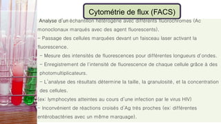 Cytométrie de flux (FACS)
Analyse d’un échantillon hétérogène avec différents fluorochromes (Ac
monoclonaux marqués avec des agent fluorescents).
- Passage des cellules marquées devant un faisceau laser activant la
fluorescence.
- Mesure des intensités de fluorescences pour différentes longueurs d'ondes.
- Enregistrement de l'intensité de fluorescence de chaque cellule grâce à des
photomultiplicateurs.
- L’analyse des résultats détermine la taille, la granulosité, et la concentration
des cellules.
(ex: lymphocytes atteintes au cours d’une infection par le virus HIV)
- Inconvénient de réactions croisés d’Ag très proches (ex: différentes
entérobactéries avec un même marquage).
 