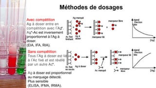 Méthodes de dosages
Avec compétition
Ag à doser entre en
compétition avec l’Ag*.
Ag*-Ac est inversement
proportionnel à l’Ag à
doser.
(EIA, IFA, RIA).
Sans compétition
Tous l’Ag à doser est lié
à l’Ac fixé et est révélé
par un autre Ac*.
Ag à doser est proportionnel
au marquage détecté.
Plus sensible
(ELISA, IFMA, IRMA).
 