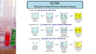 ELISA
(Enzyme Linked Immuno-Sorbent assay)
 