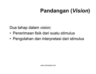 www.rahmadani.net
Pandangan (Vision)
Dua tahap dalam vision;
• Penerimaan fisik dari suatu stimulus
• Pengolahan dan interpretasi dari stimulus
 