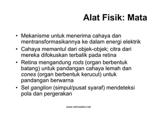 www.rahmadani.net
Alat Fisik: Mata
• Mekanisme untuk menerima cahaya dan
mentransformasikannya ke dalam energi elektrik
• Cahaya memantul dari objek-objek; citra dari
mereka difokuskan terbalik pada retina
• Retina mengandung rods (organ berbentuk
batang) untuk pandangan cahaya lemah dan
cones (organ berbentuk kerucut) untuk
pandangan berwarna
• Sel ganglion (simpul/pusat syaraf) mendeteksi
pola dan pergerakan
 