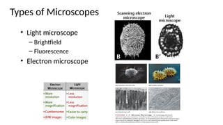 Cell Types Microscope 4.Cell structure and function - in Bioengineering.pptx