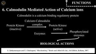 Calcium and its role in prosthodontics : The Metal that moves us | PPTX