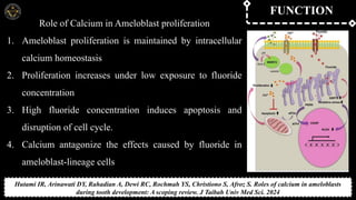 Calcium and its role in prosthodontics : The Metal that moves us | PPTX