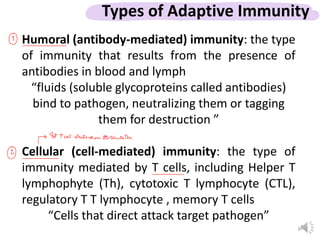 Adaptive immune system cell กสดสด่าสวหาา | PDF