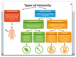 4. Immunity.pptx immun anatomy physiology | PPTX
