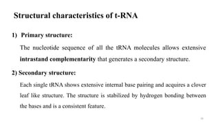 18
Structural characteristics of t-RNA
1) Primary structure:
The nucleotide sequence of all the tRNA molecules allows extensive
intrastand complementarity that generates a secondary structure.
2) Secondary structure:
Each single tRNA shows extensive internal base pairing and acquires a clover
leaf like structure. The structure is stabilized by hydrogen bonding between
the bases and is a consistent feature.
 